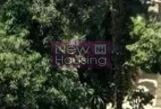 8684030 - Property Image 3