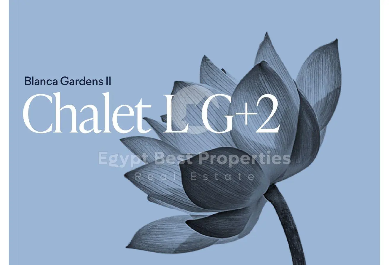 115455912 - Property Main Image