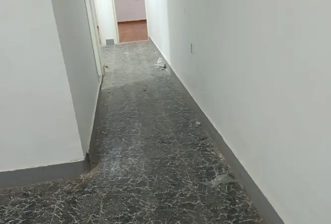 117784552 - Property Image 2