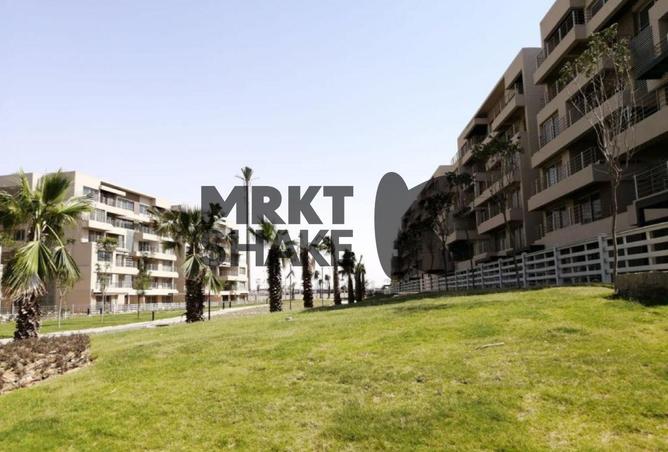 70365128 - Property Image 3