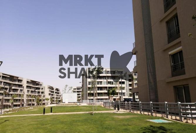 70365128 - Property Image 2