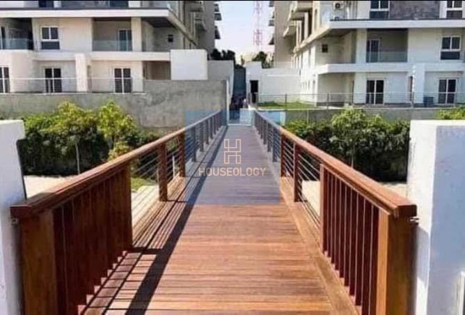 55509916 - صورة العقار 3