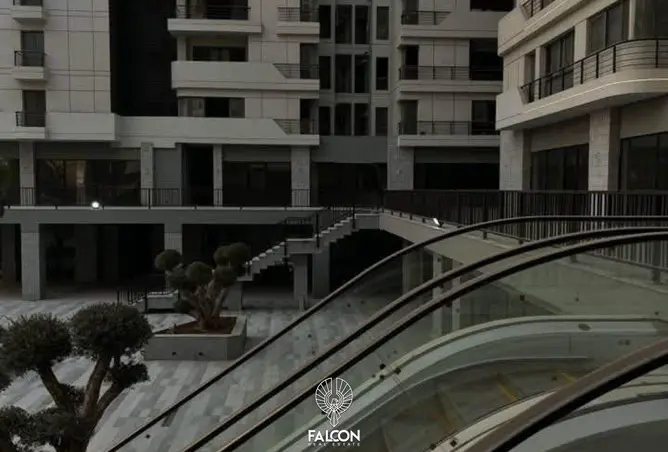 117277670 - Property Image 2