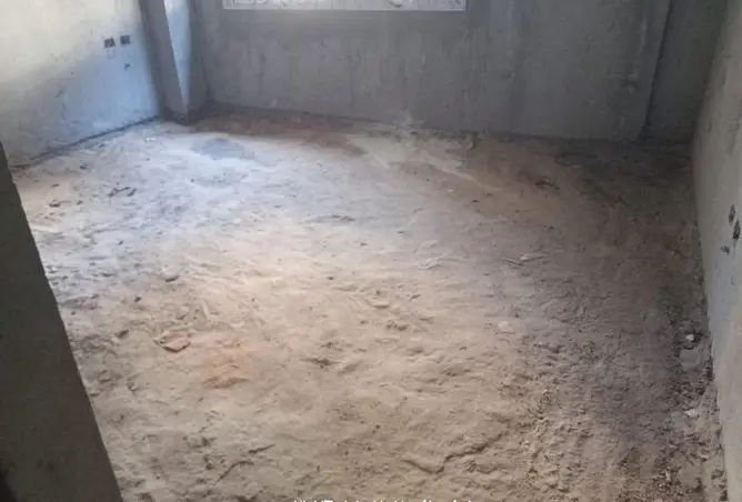 101210232 - Property Image 3