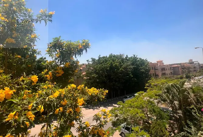 120871393 - صورة العقار 3