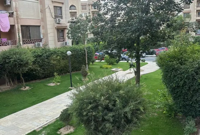 121150041 - صورة العقار 3