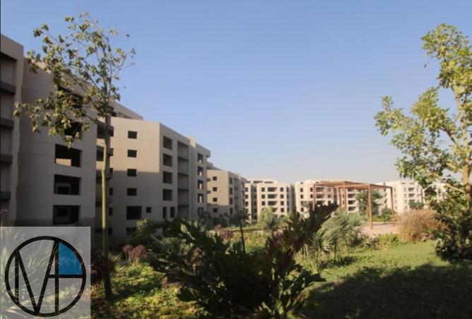 52454840 - صورة العقار 2