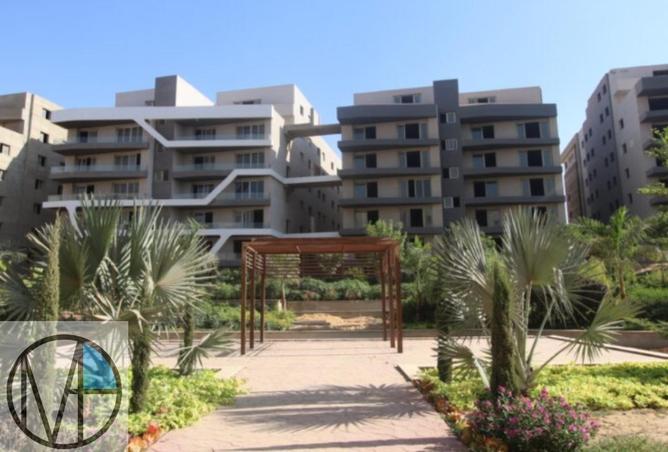 52454840 - صورة العقار 3