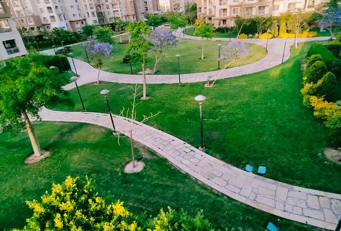 101767020 - الصورة الرئيسية للعقار