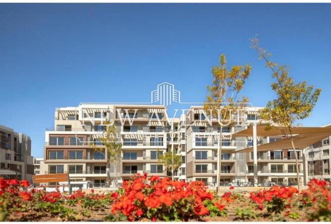 59241229 - الصورة الرئيسية للعقار