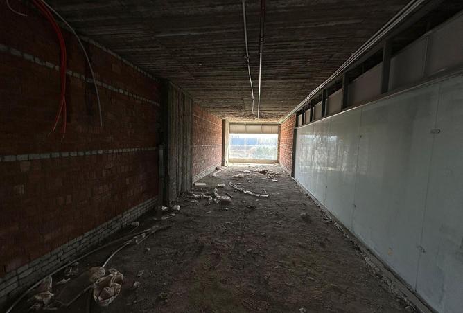 58244717 - صورة العقار 3