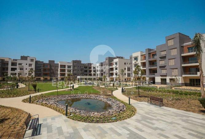 56251483 - Property Image 3