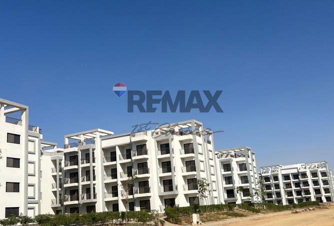 53719199 - Property Image 2