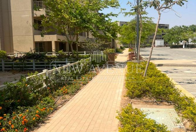 104317484 - Property Image 3