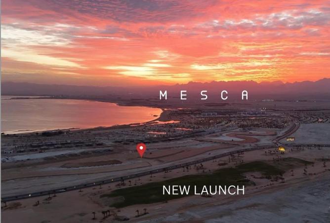 60230752 - الصورة الرئيسية للعقار