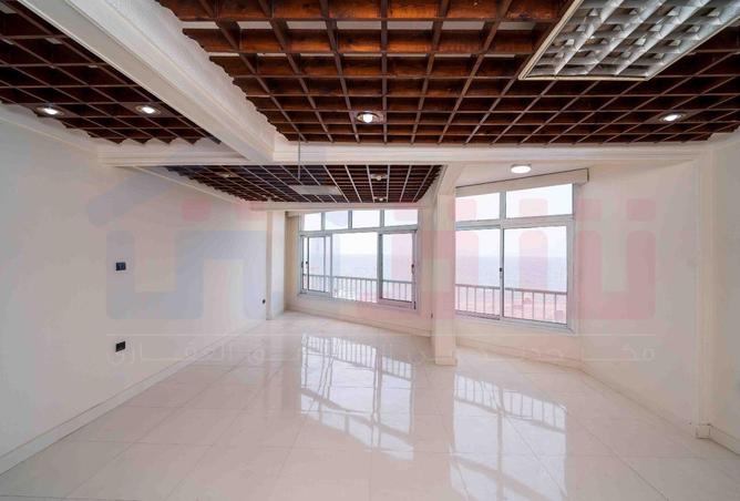 81561361 - Property Image 3