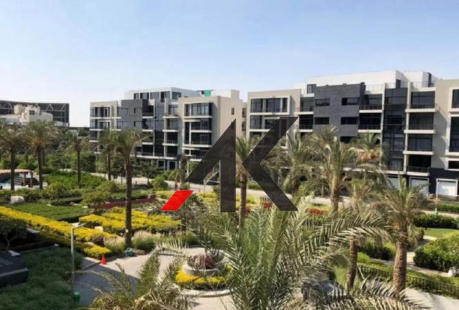 58241718 - صورة العقار 3