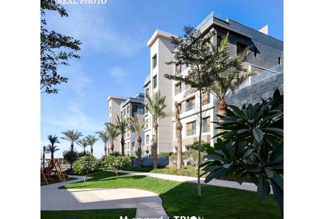 55003753 - صورة العقار 3