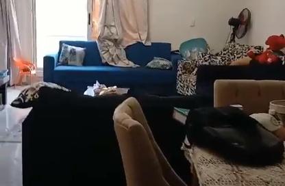 Apartment - 3 Bedrooms - 3 Bathrooms for sale in El Koronfel - The 5th Settlement - New Cairo City - Cairo Apartment - 3 Bedrooms - 3 Bathrooms for sale in El Koronfel - The 5th Settlement - New Cairo City - Cairo