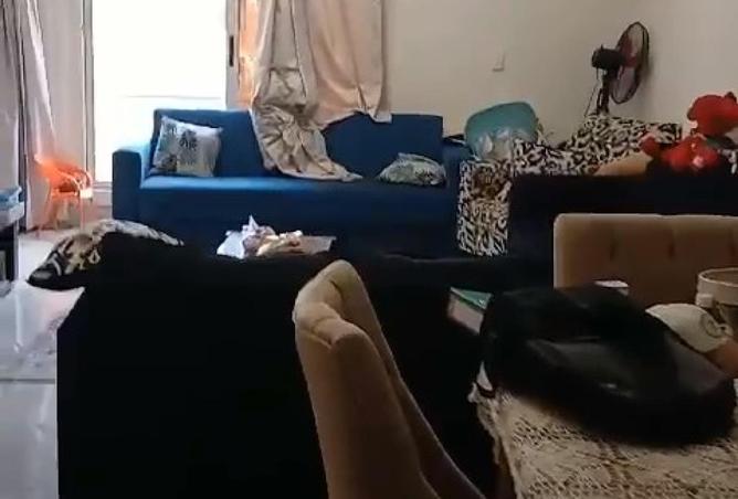 81042708 - صورة العقار 2