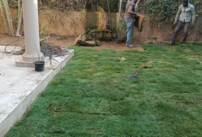 118284007 - Property Image 3