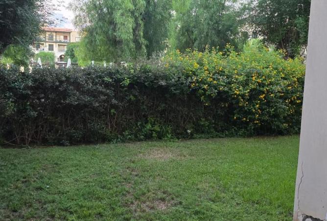 52968205 - صورة العقار 3