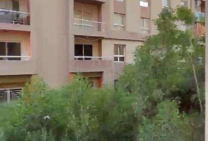 95766467 - صورة العقار 3