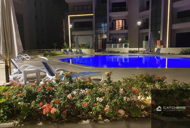 67214904 - Property Main Image