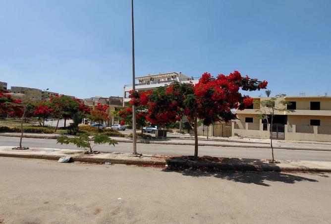 84509942 - صورة العقار 2