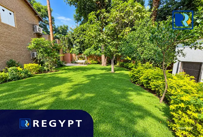 113813735 - Property Image 2