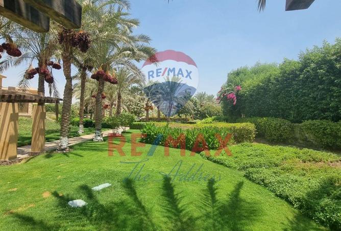 59494735 - صورة العقار 2