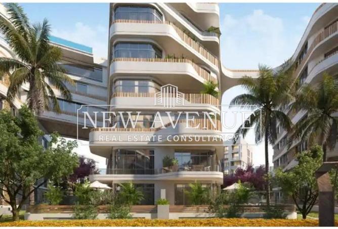 53722496 - Property Image 3