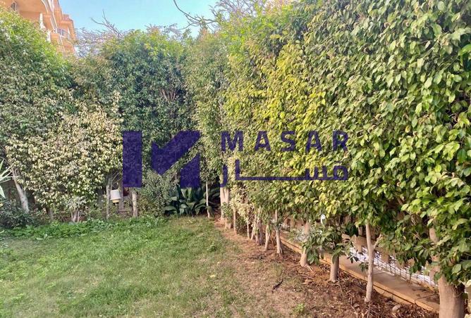 64649406 - صورة العقار 2