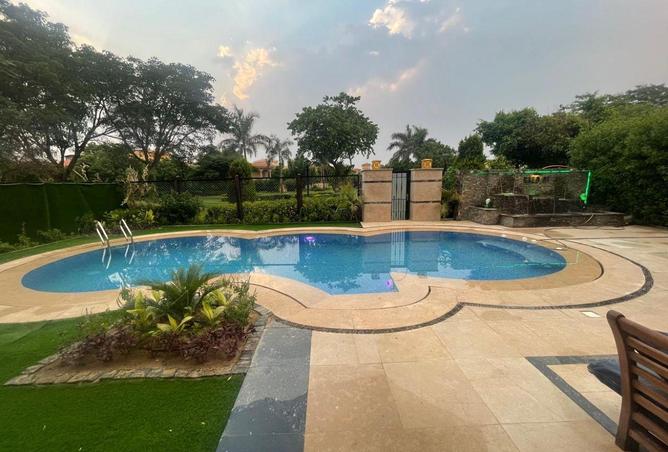 66685669 - صورة العقار 3