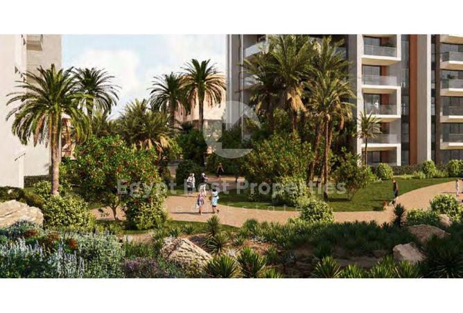 61697773 - Property Image 3