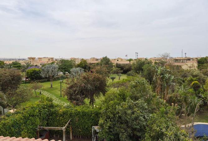 81046065 - الصورة الرئيسية للعقار