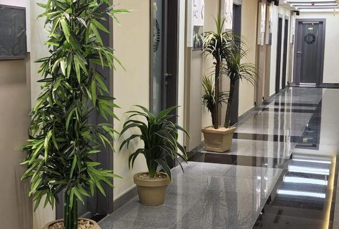 64896545 - صورة العقار 2