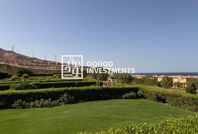 58987347 - Property Image 2