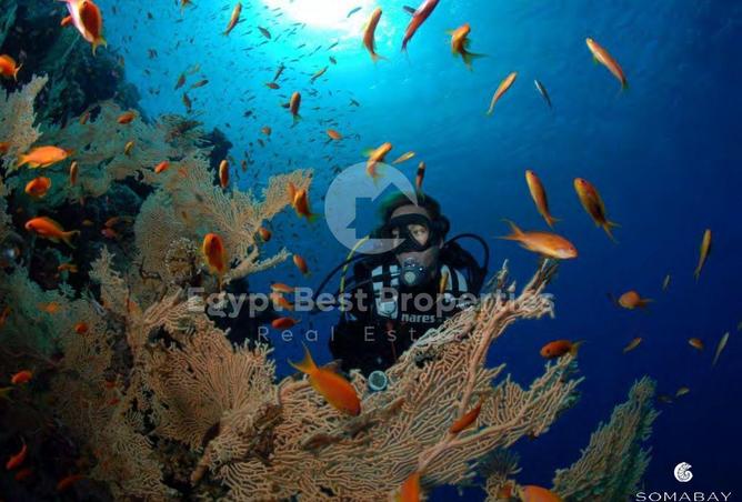 8695624 - Property Image 2