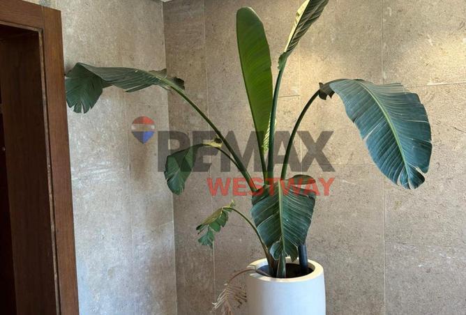 64390697 - Property Image 2