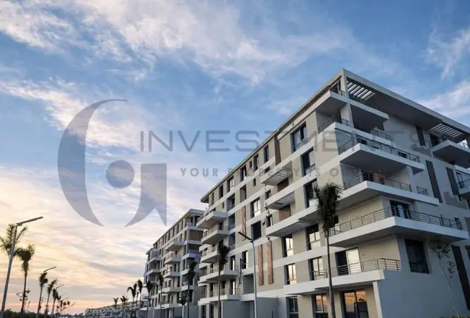 81310376 - Property Image 3
