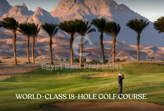 65915968 - Property Image 2