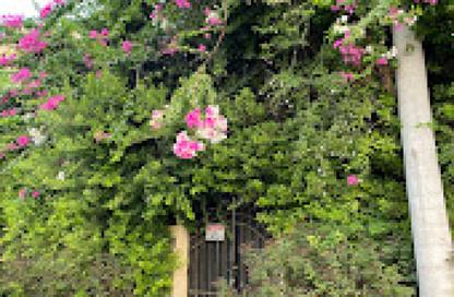 Twin House - 6 - 6 for sale in Katameya Residence - The 1st Settlement - New Cairo City - Cairo