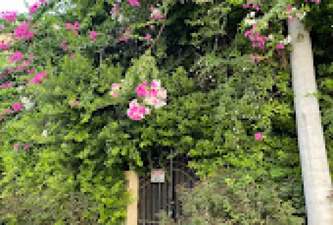 113816377 - Property Image 3