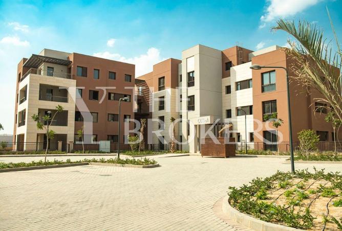 53982118 - صورة العقار 2