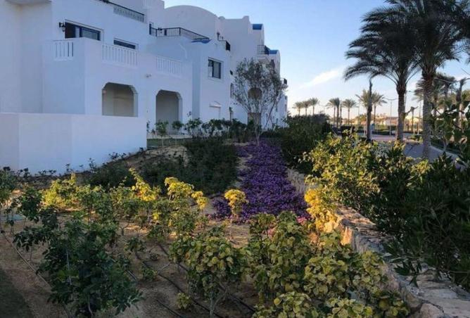 58244772 - صورة العقار 3