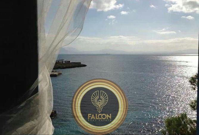 8411036 - صورة العقار 3