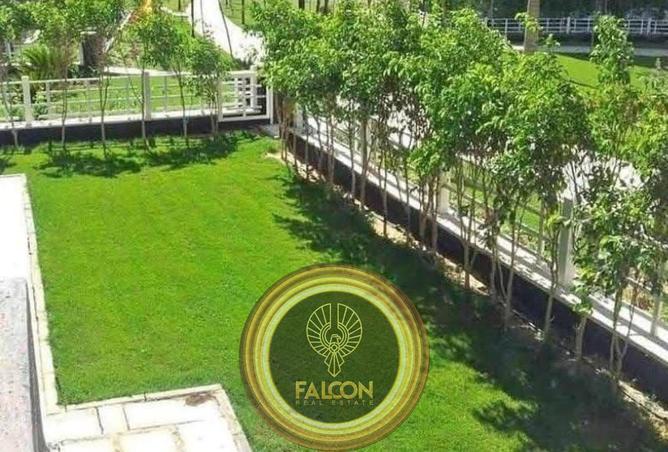 57998265 - صورة العقار 2