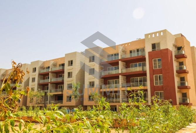 54507400 - Property Image 3