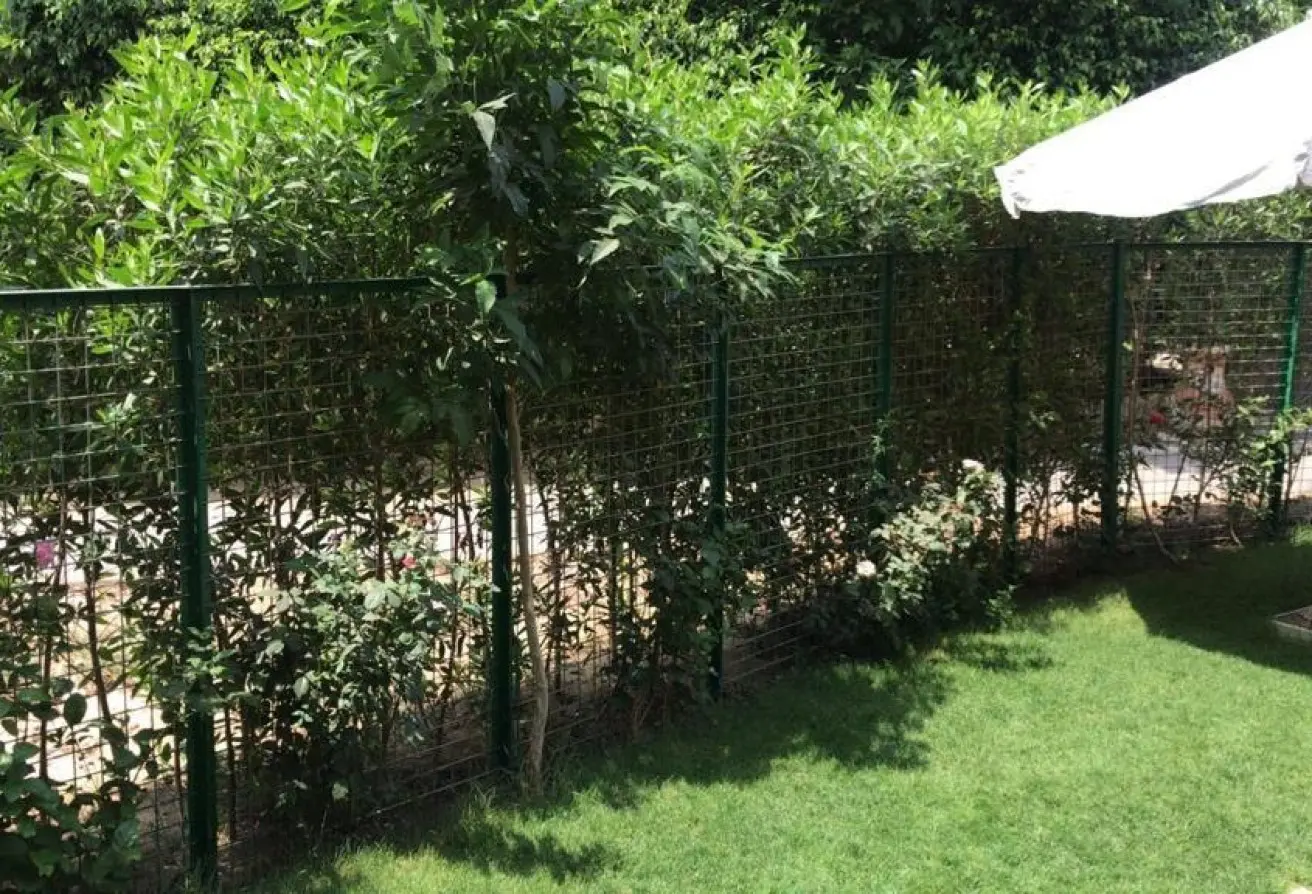 117024252 - الصورة الرئيسية للعقار